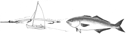 
A slowly moving hook will attract large fish like marlin and tuna.
